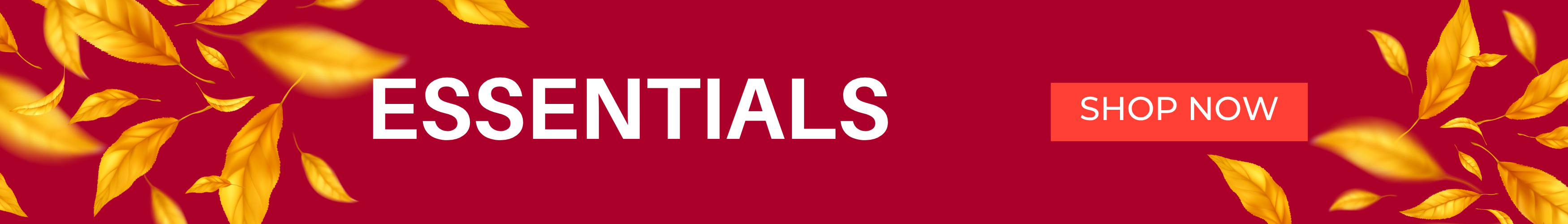 Essentials Banner