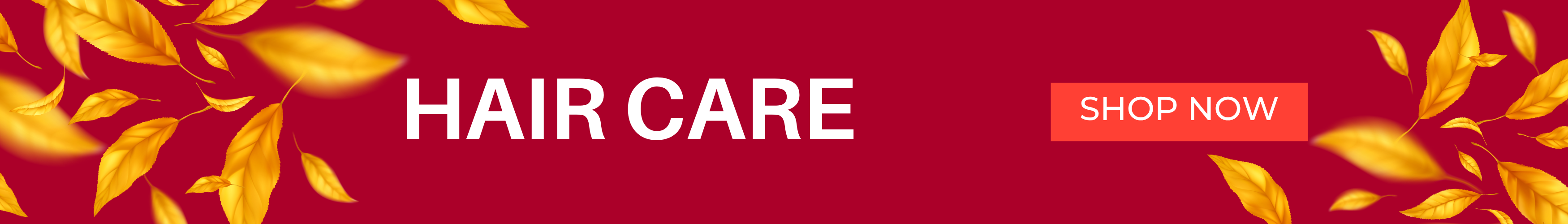 Hair Care Banner